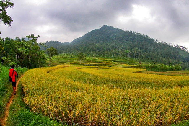 Gunung Kendil yang Terterungku Gunung Kendil yang Terterungku