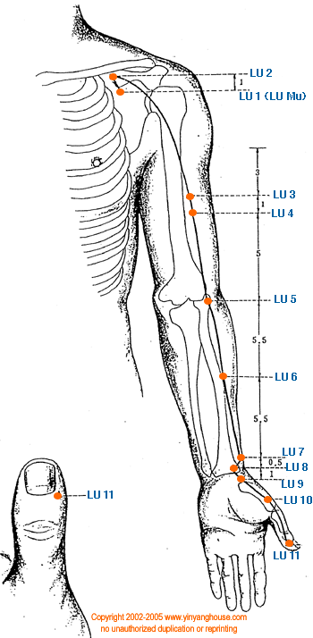 Belajar Akupuntur (Meridian Paru Paru)