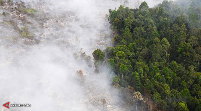 Kabut Asap Makin Menggila, Waspadai Penyakit yang Ditimbulkan Kabut Asap Makin Menggila, Waspadai Penyakit yang Ditimbulkan