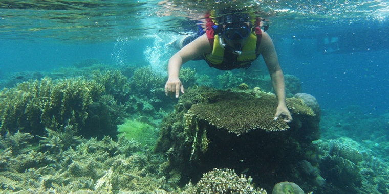 Traveling Seru di Kepulauan Seribu, Jangan Lewatkan Hal Berikut Ini!
