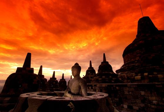 Semoga Semua Makhluk Berbahagia Detikforum