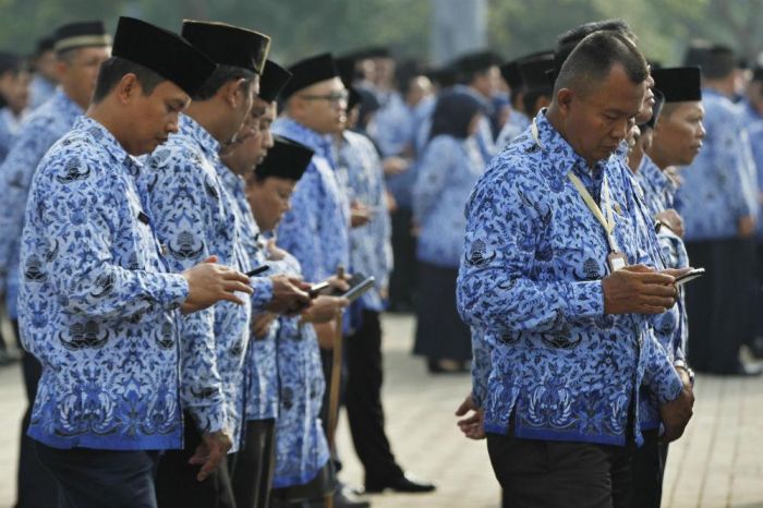 Hasil gambar untuk pns