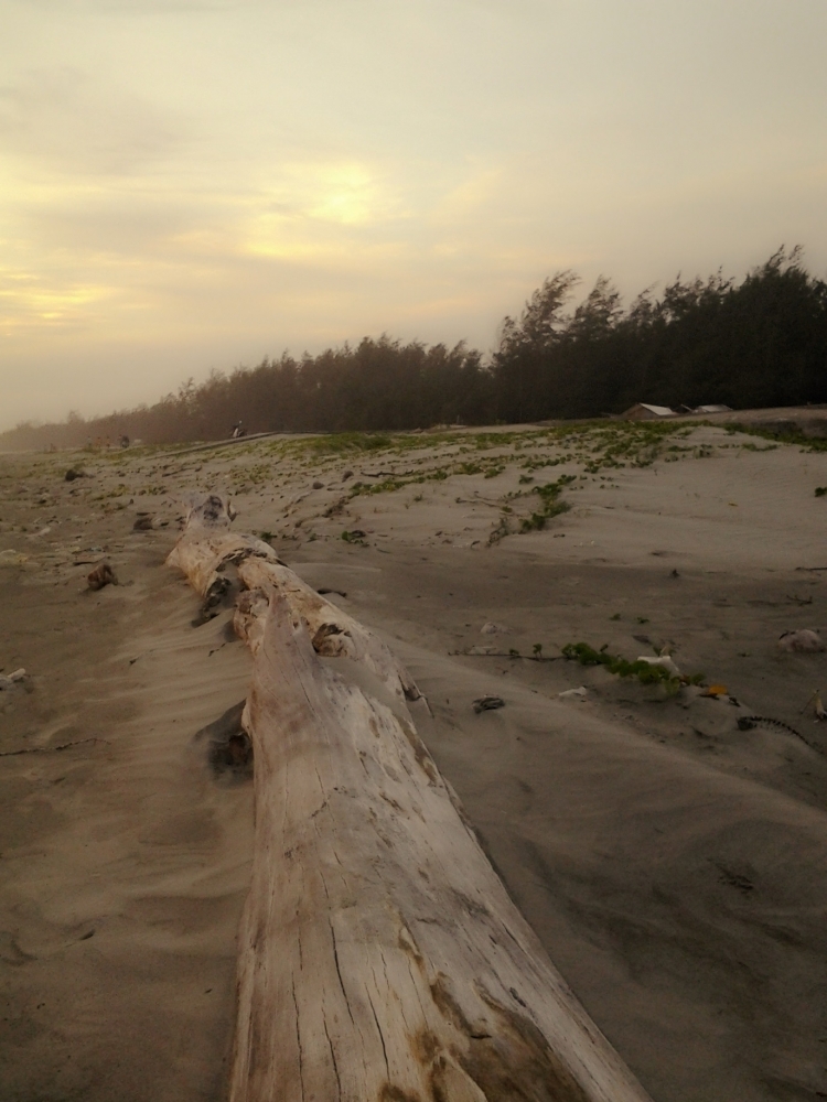 Pesona Pantai Panjang Bengkulu Pesona Pantai Panjang Bengkulu