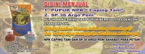 Faktor External yang Mempengaruhi Pertumbuhan dan Perkembangan Tanaman Faktor External yang Mempengaruhi Pertumbuhan dan Perkembangan Tanaman