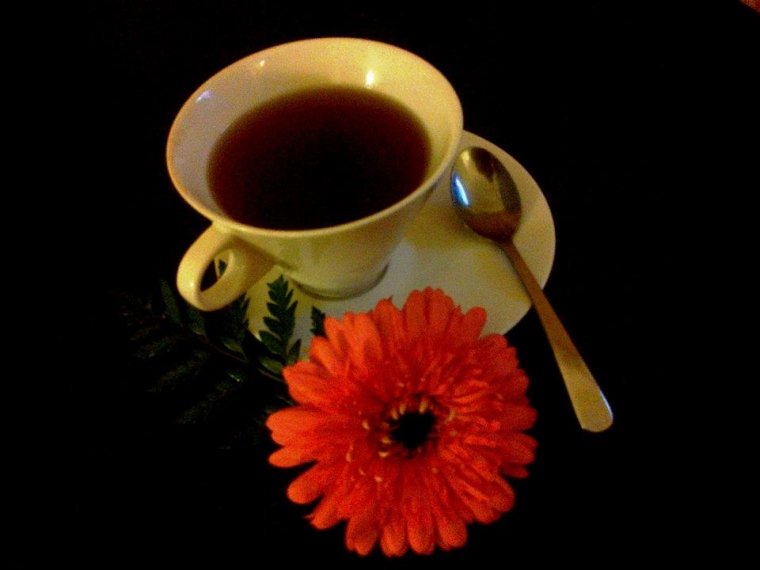 Kami akan Harumkan Gayo dengan Aroma Arabica Kami akan Harumkan Gayo dengan Aroma Arabica
