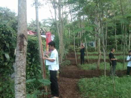 Hutan Rakyat yang Mulai Menggeliat Hutan Rakyat yang Mulai Menggeliat