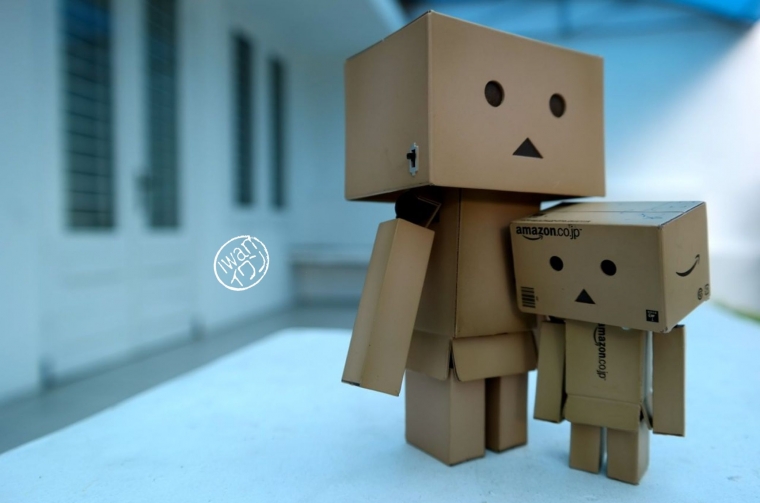 Hari-hari Danbo: Proyek Fotografi Hari-hari Danbo: Proyek Fotografi