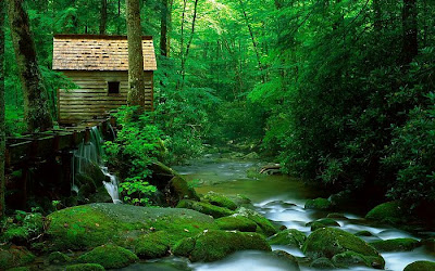 Gubuk Bambu di Seberang Hutan Gubuk Bambu di Seberang Hutan