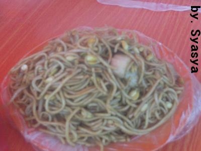 "Chow Mein" Mie Gorengnya China "Chow Mein" Mie Gorengnya China