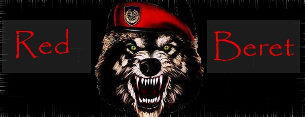 Ujian bagi Pasukan Baret Merah Ujian bagi Pasukan Baret Merah