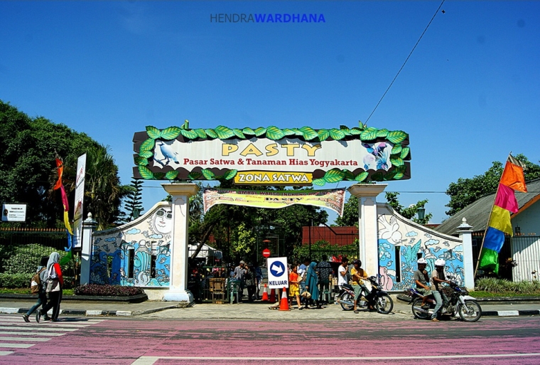 PASTY, Wajah Lain Pasar Satwa di Yogyakarta PASTY, Wajah Lain Pasar Satwa di Yogyakarta