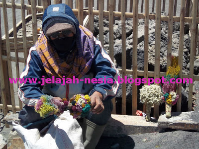 Penjual Bunga Edelweis di Gunung Bromo Penjual Bunga Edelweis di Gunung Bromo