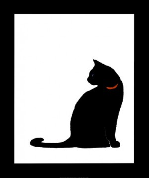 Nabrak Kucing Bawa Sial, Antara Mitos dan Logika Nabrak Kucing Bawa Sial, Antara Mitos dan Logika