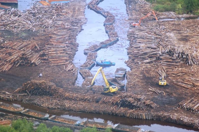 Pembangunan Pabrik PT. OKI Pulp and Paper Mills ; Ancaman bagi Hutan Indonesia dan keselamatan Rakyat Pembangunan Pabrik PT. OKI Pulp and Paper Mills ; Ancaman bagi Hutan Indonesia dan keselamatan Rakyat