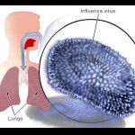 Your Moment with Hand Hygiene Your Moment with Hand Hygiene