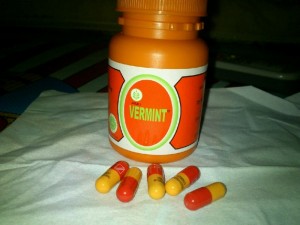 Ekstrak Cacing Alternatif Sakit Tipus Ekstrak Cacing Alternatif Sakit Tipus