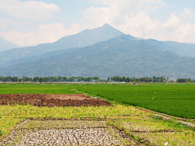 Kampung Rawa; Resensi dari Seorang Pengunjung Kampung Rawa; Resensi dari Seorang Pengunjung