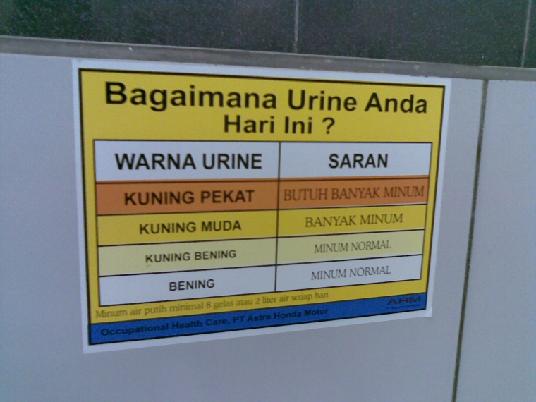 Bagaimana Warna Air Kencing (Urine) Yang Sehat? Bagaimana Warna Air Kencing (Urine) Yang Sehat?