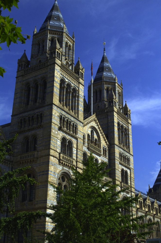 Dinosaurus Hidup di National History Museum, London Dinosaurus Hidup di National History Museum, London