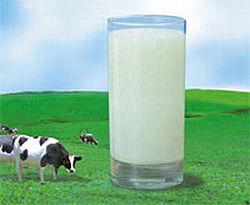Susu Peninggi Badan *Ampuh* Susu Peninggi Badan *Ampuh*