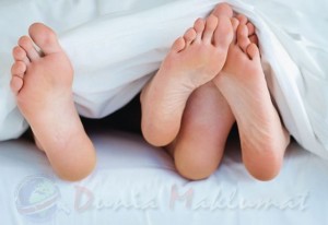 Malam Pertama Menurut Islam Malam Pertama Menurut Islam
