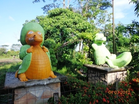 Mengenal Buaya dari Dekat di Penangkaran Buaya Mengenal Buaya dari Dekat di Penangkaran Buaya
