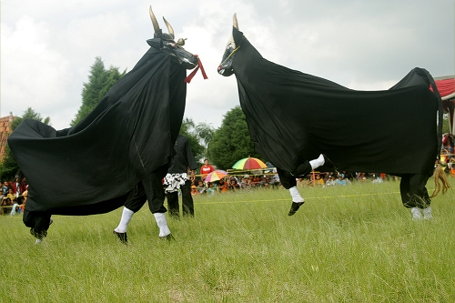 Atraksi Kebal Pemain Debus Dalam Festival Bantengan Atraksi Kebal Pemain Debus Dalam Festival Bantengan