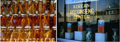 Khasiat Ginseng Korea untuk Kesehatan Khasiat Ginseng Korea untuk Kesehatan