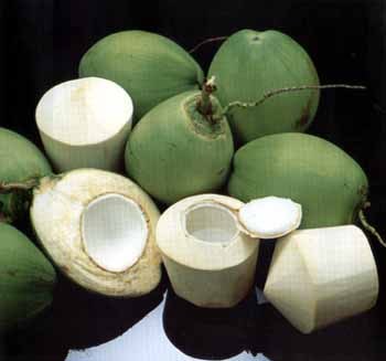 Degan Bakar, Minuman Tradisional yang Mulai Populer Degan Bakar, Minuman Tradisional yang Mulai Populer