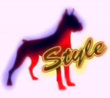Doggie Style Vs Momon Style Doggie Style Vs Momon Style