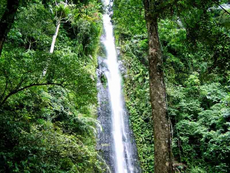 Solusi Dahsyat Mengatasi Banjir, Pendangkalan Air Tanah, dan Pemanasan Global Solusi Dahsyat Mengatasi Banjir, Pendangkalan Air Tanah, dan Pemanasan Global