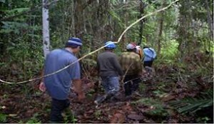 Pemetaan Partisipatif Sosial-Budaya Lokal untuk Kelestarian Hutan Indonesia Pemetaan Partisipatif Sosial-Budaya Lokal untuk Kelestarian Hutan Indonesia