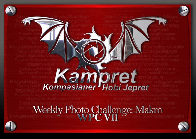 Weekly Photo Challenge: Macro Photography Weekly Photo Challenge: Macro Photography