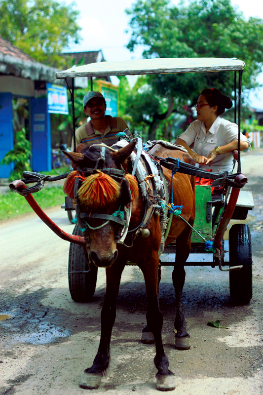 Dokar, Transportasi Tradisional, Dimana Kini Engkau Berada Dokar, Transportasi Tradisional, Dimana Kini Engkau Berada
