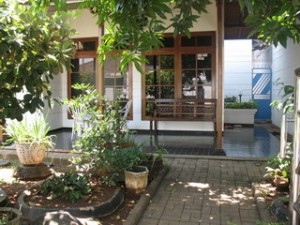 Beringin dan Jelatang Beringin dan Jelatang