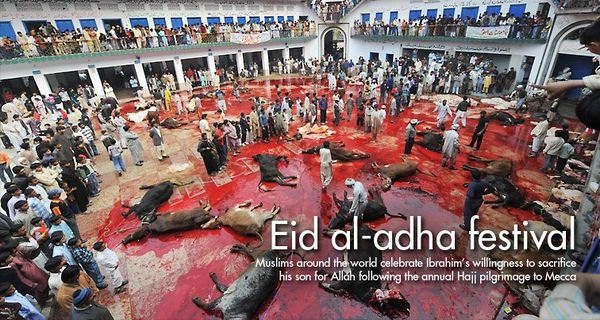Qurban, Kurban, Apa Korban? Qurban, Kurban, Apa Korban?