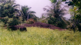 Kaba (Cerita) Bujang Jibun. Kaba (Cerita) Bujang Jibun.