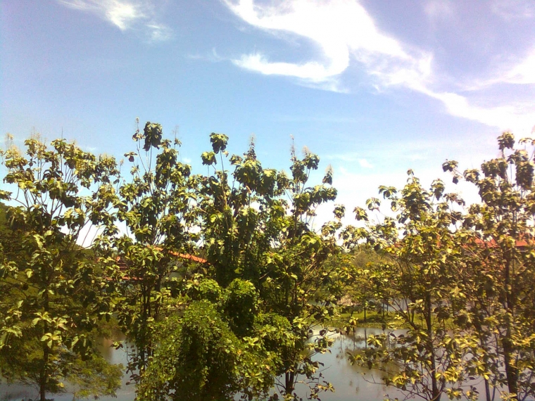 Hutan Universitas Hasanuddin Hutan Universitas Hasanuddin