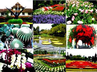 Taman Bunga Nusantara, Cipanas, Puncak, Cianjur Taman Bunga Nusantara, Cipanas, Puncak, Cianjur