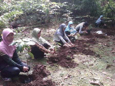 Menanam Pohon, Membangun Taman di Surga Menanam Pohon, Membangun Taman di Surga