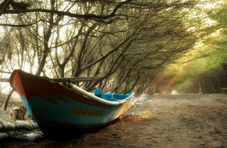 Pesona Pantai Kuwaru, Bantul Pesona Pantai Kuwaru, Bantul