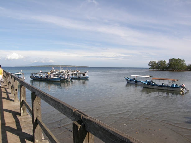Mencari Nemo dalam Biru Pulau Menjangan Mencari Nemo dalam Biru Pulau Menjangan