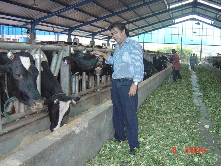 Swasembada Susu Nasional (2020)...Mengapa Tidak Mengoptimalkan Potensi di Luar Jawa Swasembada Susu Nasional (2020)...Mengapa Tidak Mengoptimalkan Potensi di Luar Jawa