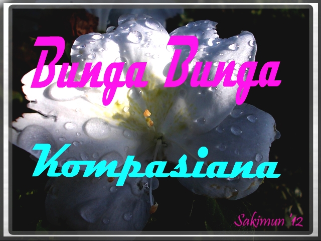 Bunga Bunga Penebar "Virus" Bunga Bunga Penebar "Virus"