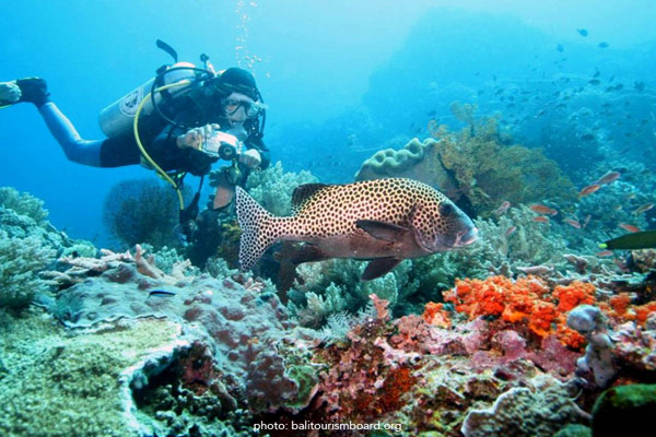 10 objek wisata buatan di bali, 10 objek wisata di bali, 10 objek wisata terbaik di bali, 10 objek wisata terkenal di bali, 10 obyek wisata di bali, 10 tempat wisata di bali, 10 tempat wisata di bali beserta penjelasannya, 10 tempat wisata di bali yang wajib dikunjungi, 10 tempat wisata favorit di bali, 10 tempat wisata terbaik di bali, 10 tempat wisata terkenal di bali, 100 objek wisata di bali, 3 objek wisata di bali, 5 objek wisata di bali, 5 tempat wisata di bali, 5 tempat wisata di pulau bali, 5 tempat wisata terbaik di bali, 50 objek wisata di bali, 7 objek wisata di tabanan bali, 7 tempat wisata di bali, 7 tempat wisata terindah di bali, 9 tempat wisata di bali, cerita objek wisata di bali, cerita tentang objek wisata di bali, contoh makalah objek wisata di bali, contoh objek wisata di bali, daftar nama objek wisata di bali, daftar nama obyek wisata di bali, entrance fee objek wisata di bali, foto objek wisata di bali, foto obyek wisata di bali, harga tempat wisata di bali 2015, jarak tempuh obyek wisata di bali, kumpulan foto objek wisata di bali, nama obyek wisata di bali, objek wisata di bali, objek wisata di bali 2015, objek wisata di bali bagian barat, objek wisata di bali bagian selatan, objek wisata di bali bagian timur, objek wisata di bali bahasa inggris, objek wisata di bali barat, objek wisata di bali bedugul, objek wisata di bali berbahasa inggris, objek wisata di bali beserta gambar, objek wisata di bali beserta penjelasannya, objek wisata di bali blog, objek wisata di bali daerah kuta, objek wisata di bali dalam bahasa inggris, objek wisata di bali dan gambarnya, objek wisata di bali dan harga tiket masuk, objek wisata di bali dan harganya, objek wisata di bali dan keterangannya, objek wisata di bali dan lombok, objek wisata di bali dan penjelasannya, objek wisata di bali denpasar, objek wisata di bali indonesia, objek wisata di bali kabupaten badung, objek wisata di bali kuta, objek wisata di bali lengkap, objek wisata di bali menggunakan bahasa inggris, objek wisata di bali murah, objek wisata di bali pantai kuta, objek wisata di bali pantai sanur, objek wisata di bali sangeh, objek wisata di bali selain pantai, objek wisata di bali selatan, objek wisata di bali tanah lot, objek wisata di bali tanjung benoa, objek wisata di bali tengah, objek wisata di bali timur, objek wisata di bali untuk anak-anak, objek wisata di bali utara, objek wisata di bali wikipedia, objek wisata di bali yang bagus, objek wisata di bali yang belum terkenal, objek wisata di bali yang harus dikunjungi, objek wisata di bali yang jarang dikunjungi, objek wisata di bali yang menarik, objek wisata di bali yang menawarkan panorama pegunungan, objek wisata di bali yang murah, objek wisata di bali yang terkenal, objek wisata di bali yang tersembunyi, objek wisata di bali yang wajib di kunjungi, objek wisata di bali yang wajib dikunjungi, objek wisata di balige, objek wisata di balikpapan, objek wisata di jembrana bali, objek wisata di kabupaten bali, objek wisata di kota denpasar, objek wisata di negare bali, objek wisata di Nusa Lembongan bali, objek wisata di Nusa Penida bali, objek wisata di seminyak bali, objek wisata nusa lembongan bali, objek wisata nusa penida bali, objek wisata religi di bali, objek wisata romantis di bali, objek wisata taman nusa di bali, objek wisata terbaru di bali, objek wisata ziarah di bali, obyek obyek wisata di bali, obyek wisata anak di bali, obyek wisata bali cening bagus, obyek wisata bali favorit, obyek wisata bali gratis, obyek wisata bali indonesia, obyek wisata bali zoo, obyek wisata bali zoo park, obyek wisata di bali, obyek wisata di bali 2016, obyek wisata di bali bedugul, obyek wisata di bali gwk, obyek wisata di bali selatan, obyek wisata di bali utara, obyek wisata di jimbaran bali, obyek wisata di kabupaten gianyar bali, obyek wisata di kintamani bali, obyek wisata di negara bali, obyek wisata di p bali, obyek wisata di sekitar denpasar, obyek wisata di seminyak bali, obyek wisata di Singaraja bali, obyek wisata di Ubud bali, obyek wisata favorit di bali, obyek wisata Nusa Penida-bali, obyek wisata sangeh di bali, obyek wisata yang ada di bali, paket wisata bali, rekomendasi objek wisata di bali, rekomendasi tempat wisata di bali, rute objek wisata di bali, rute obyek wisata di bali, tempat 2 wisata di bali, tempat makan enak di bali, tempat wisata baru di bali 2015, tempat wisata baru di bali 2016, tempat wisata di amlapura bali, tempat wisata di bali, tempat wisata di bali 2015, tempat wisata di bali ala backpacker, tempat wisata di bali amed, tempat wisata di bali apa aja, tempat wisata di bali bagian selatan, tempat wisata di bali berdasarkan lokasi, tempat wisata di bali berdasarkan wilayah, tempat wisata di bali beserta harga, tempat wisata di bali beserta harganya, tempat wisata di bali candidasa, tempat wisata di bali daerah legian, tempat wisata di bali dalam bahasa inggris, tempat wisata di bali dan harga, tempat wisata di bali dan harga tiket masuk, tempat wisata di bali dan lombok, tempat wisata di bali dan penjelasannya, tempat wisata di bali dekat gilimanuk, tempat wisata di bali dekat legian, tempat wisata di bali favorit, tempat wisata di bali foto, tempat wisata di bali gianyar, tempat wisata di bali gwk, tempat wisata di bali indonesia, tempat wisata di bali joger, tempat wisata di bali karangasem, tempat wisata di bali kaskus, tempat wisata di bali kuta, tempat wisata di bali legian, tempat wisata di bali lovina, tempat wisata di bali malam hari, tempat wisata di bali map, tempat wisata di bali monkey forest, tempat wisata di bali monyet, tempat wisata di bali murah, tempat wisata di bali murah meriah, tempat wisata di bali nusa dua, tempat wisata di bali paling bagus, tempat wisata di bali paling indah, tempat wisata di bali paling terkenal, tempat wisata di bali pantai dreamland, tempat wisata di bali pantai lovina, tempat wisata di bali penglipuran, tempat wisata di bali pulau penyu, tempat wisata di bali selain pantai, tempat wisata di bali sesuai jalur, tempat wisata di bali sesuai rute, tempat wisata di bali tanah lot, tempat wisata di bali tengah, tempat wisata di bali terbaik, tempat wisata di bali terkenal, tempat wisata di bali tirta empul, tempat wisata di bali tirta gangga, tempat wisata di bali uluwatu, tempat wisata di bali untuk 4 hari, tempat wisata di bali untuk anak anak, tempat wisata di bali untuk anak kecil, tempat wisata di bali untuk backpacker, tempat wisata di bali untuk balita, tempat wisata di bali untuk honeymoon, tempat wisata di bali untuk orang tua, tempat wisata di bali untuk remaja, tempat wisata di bali utara, tempat wisata di bali wajib, tempat wisata di bali wajib dikunjungi, tempat wisata di bali yang ada monyetnya, tempat wisata di bali yang belum terkenal, tempat wisata di bali yang cocok untuk anak-anak, tempat wisata di bali yang cocok untuk pacaran, tempat wisata di bali yang eksotis, tempat wisata di bali yang harus dikunjungi, tempat wisata di bali yang indah, tempat wisata di bali yang jarang dikunjungi, tempat wisata di bali yang masih jarang dikunjungi, tempat wisata di bali yang menarik, tempat wisata di bali yang murah dan bagus, tempat wisata di bali yang paling indah, tempat wisata di bali yang ramai dikunjungi, tempat wisata di bali yang recommended, tempat wisata di bali yang wajib dikunjungi, tempat wisata di bali yg harus dikunjungi, tempat wisata di bali yg indah, tempat wisata di canggu bali, tempat wisata di daerah jimbaran bali, tempat wisata di denpasar dan sekitarnya, tempat wisata di Gilimanuk bali, tempat wisata di jatiluwih bali, tempat wisata di klungkung bali, tempat wisata di kute bali, tempat wisata di mengwi bali, tempat wisata di negara bali, tempat wisata di Nusa Lembongan bali, tempat wisata di Nusa Penida bali, tempat wisata di renon bali, tempat wisata di sekitar jimbaran bali, tempat wisata menarik di bali 2016, tempat wisata Nusa Lembongan bali, tempat wisata Nusa Penida bali, tempat wisata terbaru di bali 2015, tiket masuk objek-objek wisata di bali, top 10 tempat wisata di bali, video objek wisata di bali, video obyek wisata di bali