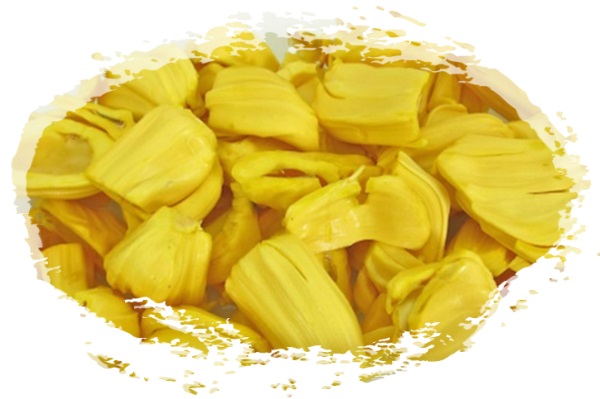 Menanam Nangka Dalam Pot Bisa Berbuah, Mudah Menanam Nangka Dalam Pot Bisa Berbuah, Mudah