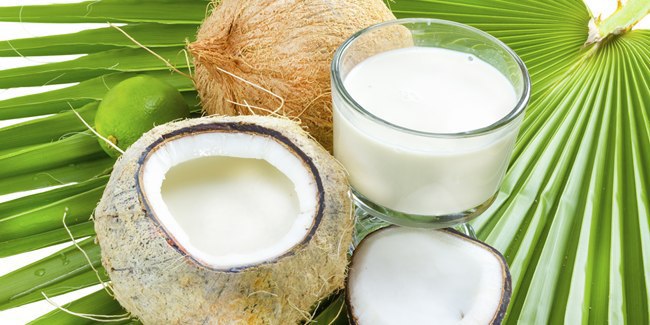 Filosofi Santan Kelapa Bagi Kehidupan Filosofi Santan Kelapa Bagi Kehidupan