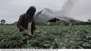 Asuransi Kerugian Akibat Bencana Alam Asuransi Kerugian Akibat Bencana Alam