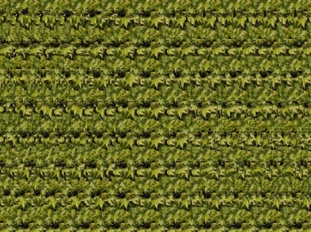 Hanya Orang Tertentu Yang Bisa Melihat Gambar Ini Halaman Hanya Orang Tertentu Yang Bisa Melihat Gambar Ini Halaman