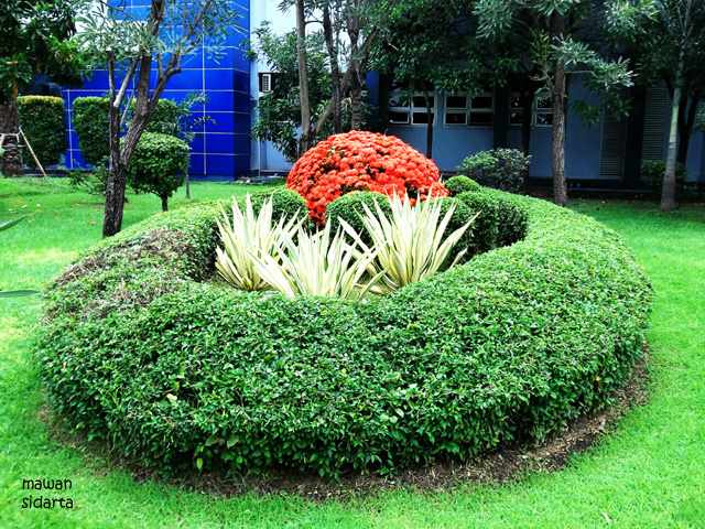 Foto Artikel Ruang Tunggu Unik Di Rumah Sakit Kompasiana Com